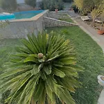 Hébergement de vacances Petrothalassa *
