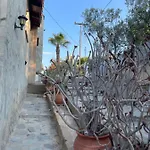 Petrothalassa * Κρανίδι