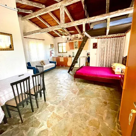 Petrothalassa * 크라니디