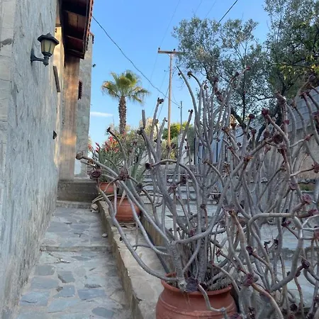 Petrothalassa * 크라니디