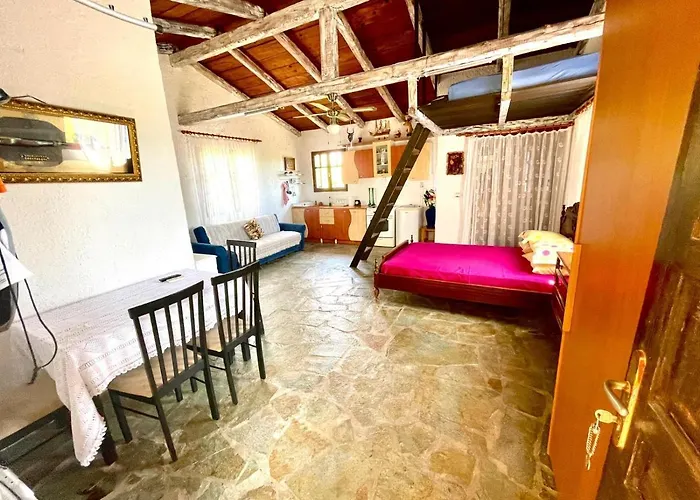 Petrothalassa * Кранидион