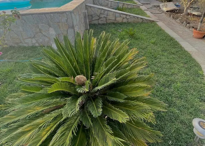 Casa vacanze Petrothalassa *